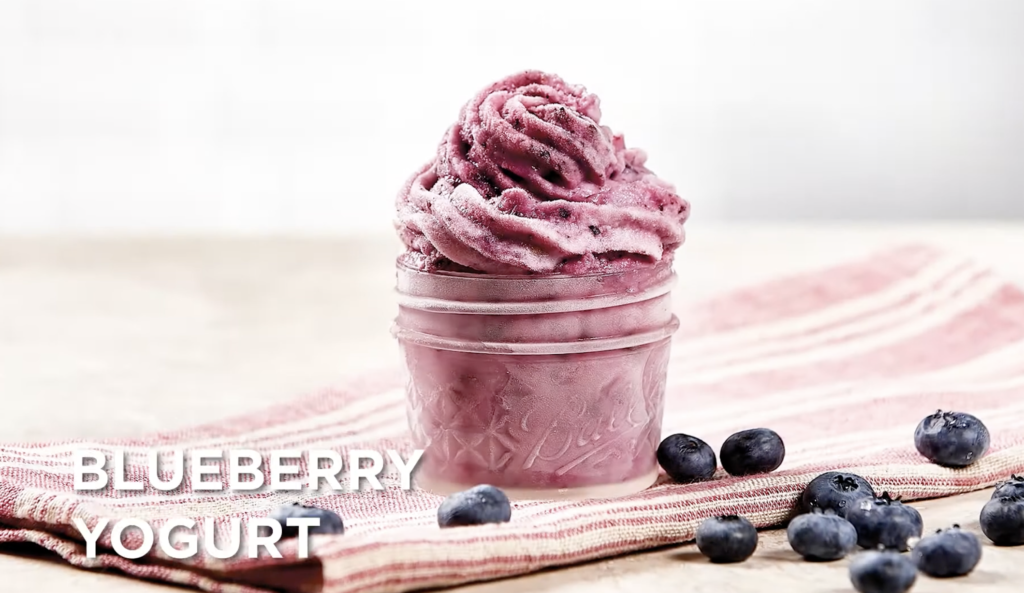 Bluberry FroYo